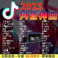 Newsmy 纽曼 2023年车载音乐内存卡带流行歌曲重低音dj2022抖音箱 32G已存(7000首歌曲)
