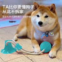 迪普爾 狗玩具耐咬狗狗玩具寵物小型犬小狗泰迪柯基互動磨牙解悶用品