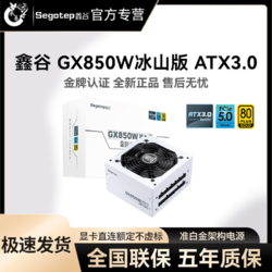 Segotep 鑫谷 GX850W 冰山版 金牌全模组ATX电源 850W