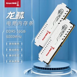 Great Wall 长城 DDR5 16g/32g 6000MHz台式机内存条马甲条Intel/AMD通用套条