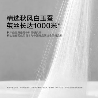 水星家纺A类100%桑蚕丝空调被单人蚕丝凉感雪糕夏被子约2.6斤150*200cm绿 凉感桑蚕丝夏被(60天丝/A类) 150×200cm