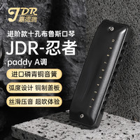 嘉德瑞 JDR布鲁斯蓝调十孔口琴10孔NinJa忍者paddy A调初学者成人演奏级