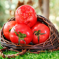 京地达 海阳普罗旺斯西红柿4.5斤彩箱装网红口感沙瓢番茄源头直发