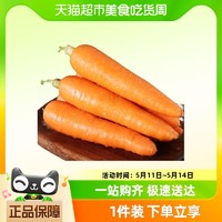 88VIP：鲁韵忆乡 胡萝卜小果2.5kg新鲜蔬菜