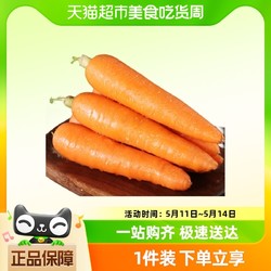鲁韵忆乡 胡萝卜小果2.5kg新鲜蔬菜
