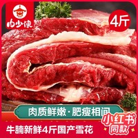 肉少侠 牛腩新鲜牛肉4斤国产黄牛肉雪花鲜切牛腩块家用生鲜冷冻