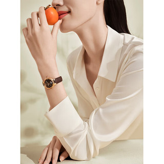 飞亚达（FIYTA）设计引领-X3 机械女士腕表【柿柿如意】咖盘皮带