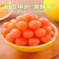 当季水果 黄河蜜瓜 9斤装3-5个