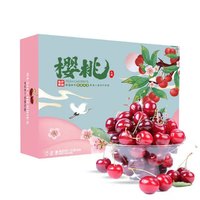 山東頭茬小櫻桃 3 斤裝