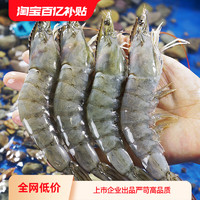 GUOLIAN 国联 水产大虾鲜活速冻海虾生鲜虾类盐冻3040厄瓜多尔白虾南美白虾
