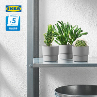 IKEA 宜家 NYPON尼邦装饰用花盆