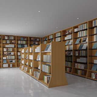 唐辑图书馆书架木质书柜绘本展示架阅览室双面书架定制 100*35*240cm