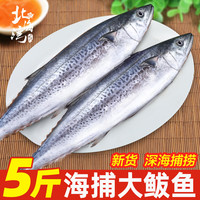 北海湾大鲅鱼新鲜活鲐鲅鱼马鲛鱼大整条冷冻马友鱼海鲜马交鱼 海捕大鲅鱼 5斤【6-8两/条】
