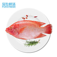 Purefresh 品珍鮮活 生鮮魚類三去凈膛紅星斑900g (2條裝)×2件