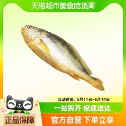 MRSCRAB 蟹太太 新鲜冷冻大黄花鱼生鲜水产鲜活冰鲜黄鱼海鱼350g