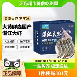 大黄鲜森 湛江大虾冷冻1.5kg（20/30）水产国产大虾