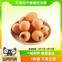 88VIP：四川米易枇杷新鲜当季水果现摘现发1/3斤装整箱包邮