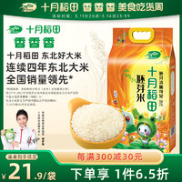 十月稻田 胚芽米 2.5kg