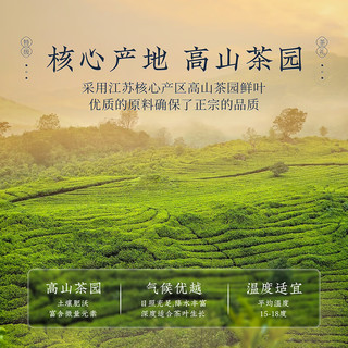 去寻绿茶江苏碧螺春茶叶明前特级100g2024新茶小罐装茶叶礼盒春茶