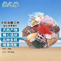 燕之雁 天然海螺貝殼400g 品種多樣 魚缸海洋海底造景裝飾擺件 手工材料