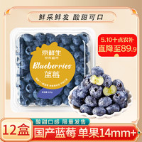 Mr.Seafood 京鲜生 国产蓝莓 12盒 约125g/盒 14mm+