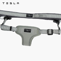 TESLA 特斯拉 寵物反光胸背全方位反光設計防掙脫自由調節大小