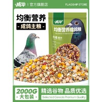 威毕 H营养鸽粮鸽子饲料用品信鸽赛鸽种鸽带玉米小颗粒豌豆粮食鸟食