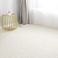素色地毯纯色拍照背景毯客厅高级轻奢茶几毯米白色直播间专用地垫