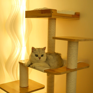 梵都宠舍猫爬架实木吊床款高端牛皮纸麻猫抓柱猫别墅猫树