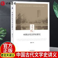 正版老北大讲义:中国古代文学史讲义书籍