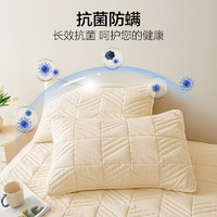 88VIP：HLA 海澜之家 夹棉枕套一对装A类抗菌枕头套单个枕芯内胆套48cmx74cm