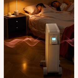 Brandt 白朗 法国Brandt白朗电暖器家用卧室节能取暖器可移动储能Y20