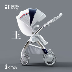 NordicBaby 北欧宝贝 婴儿车0-6岁用折叠可坐可躺带减震婴儿推车 viva-单车