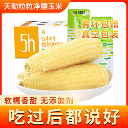 天勤粒粒凈 甜糯玉米新季頭茬大白新鮮真空包裝軟粘無添加粘玉米