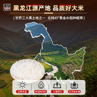 麦刻 新米东北大米长粒香米真空包装黑龙江非五常稻花香500g