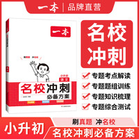 2024一本小升初小学总复习语文数学英语小学升初中总复习六年级名校冲刺必备方案小升初知识大盘点小学毕业升学考试总复习专项训练小学名师总复习考试训练 语文 小学升初中