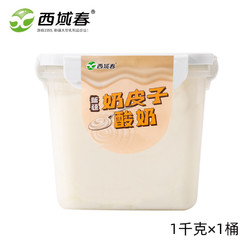 西域春 奶皮子酸奶1kg*1桶裝新疆特產低溫大桶水果撈酸牛奶