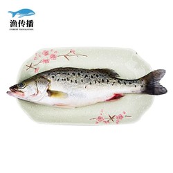 渔传播 浙江舟山活捕鲜冻海鲈鱼海鲜鱼类水产(3斤)500g*3条装