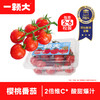 一颗大 ™ 串收樱桃小番茄 972g水果西红柿 散串 茄果瓜类 486g*2盒 源头直发