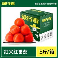 GREER 綠行者 紅又紅番茄品牌果5斤新鮮蔬菜自然熟西紅柿子孕婦水果