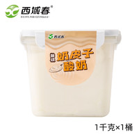 西域春奶皮子酸奶1kg*1桶装新疆特产低温大桶水果捞酸牛奶