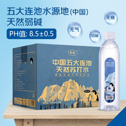 雪鵝 天然蘇打水 天然堿性無添加 飲用蘇打水 500ml