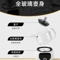 养得康 高级养生壶全自动煮花茶个人专用小功率保温多功能家用玻璃小茶炉
