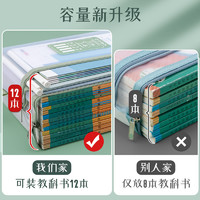 四季年华 网纱单层学科文件袋 单个装