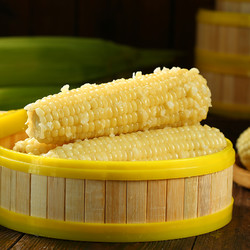 88VIP：采甜農新鮮玉米東北白糯玉米2.2kg/箱8支裝真空糯玉米即食鎖鮮