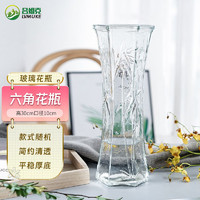吕姆克 花瓶富贵竹插花瓶玻璃客厅宿舍花瓶摆件大号透明随机高30cm5432