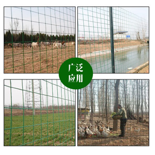 禄昇琪（LUSHENGQI）铁丝网荷兰网防护网养殖围网隔离网围栏网2.5mm*1.5米高*30米长