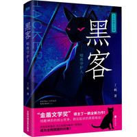 黑客：暗夜守护人（“金盾文学”作者丁一鹤全新力作！讲述互联网暗战的热血传奇！故事改自真实案例！）