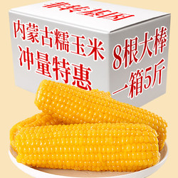 瑞玲瓏 內蒙古巴盟黃金糯玉米新鮮糯玉米棒非轉基因真空獨立包裝袋裝玉米