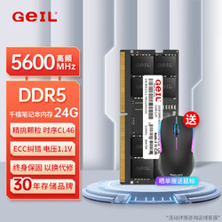 GeIL 金邦 24G DDR5-5600  筆記本內存條 千禧系列389